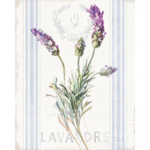 Nai, Danhui 아티스트의 Floursack Lavender II 작품