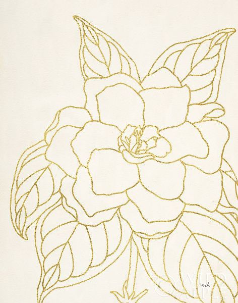 Hershey, Moira 아티스트의 Gold Gardenia Line Drawing Crop 작품