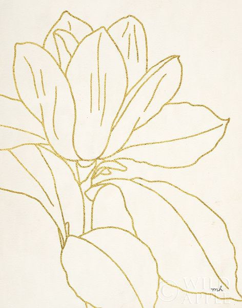 Hershey, Moira 아티스트의 Gold Magnolia Line Drawing v2 Crop 작품