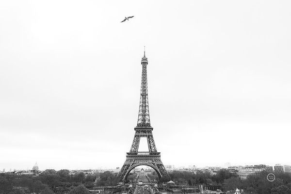 Larson, Nathan 작가의 A Birds View of Paris Crop I 작품