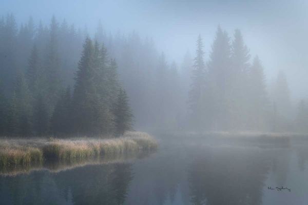 Majchrowicz, Alan 작가의 Grand Teton Lake Fog 작품