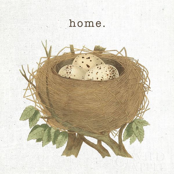 Hershey, Moira 아티스트의 Spring Nest II Home 작품