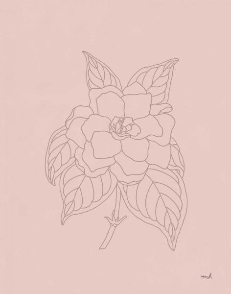 Hershey, Moira 작가의 Gardenia Line Drawing Pink 작품