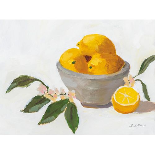Munger, Pamela 아티스트의 Lemons in Grey Bowl작품입니다.