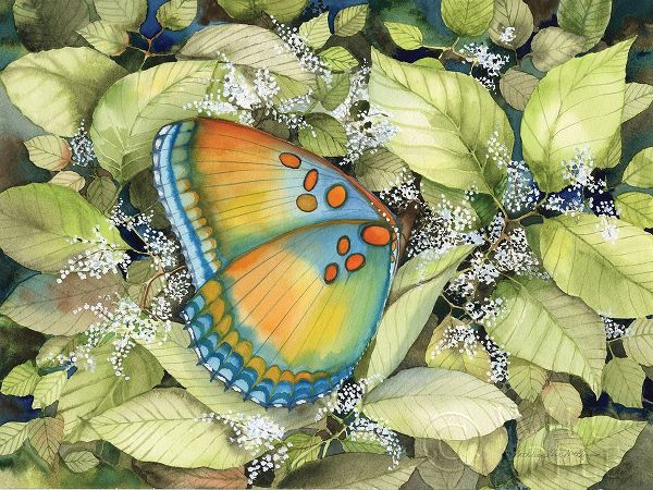 McKenna, Kathleen Parr 아티스트의 Royal Butterfly 작품
