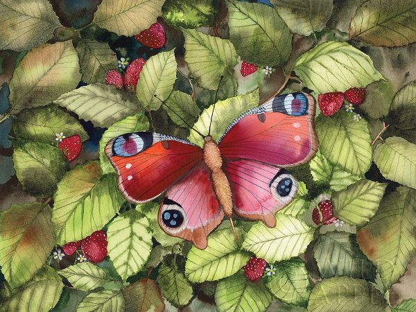 McKenna, Kathleen Parr 아티스트의 Majestic Butterfly 작품