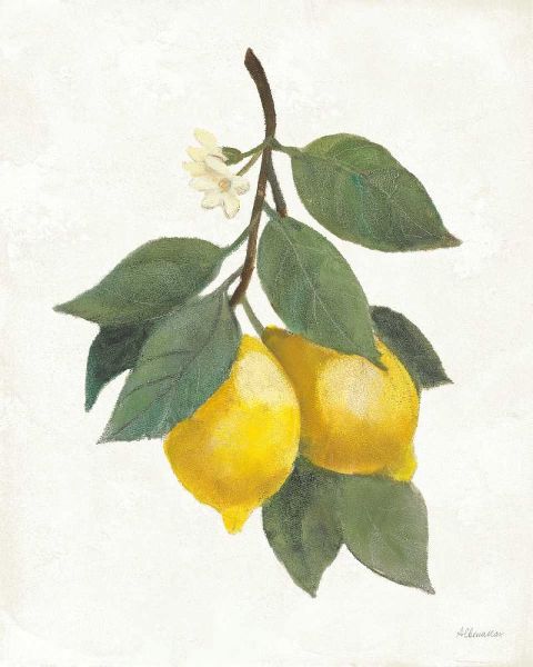 Hristova, Albena 작가의 Lemon Branch II 작품