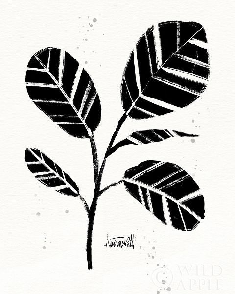 Tavoletti, Anne 아티스트의 Botanical Sketches IV 작품