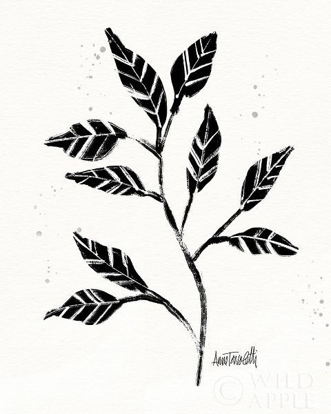Tavoletti, Anne 아티스트의 Botanical Sketches V 작품