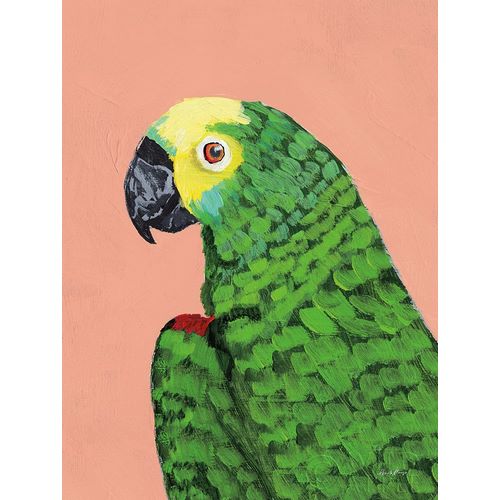 Munger, Pamela 아티스트의 Parrot Head 작품