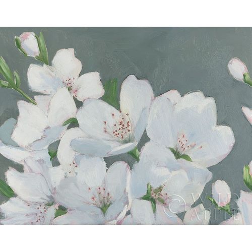 Wiens, James 아티스트의 Spring Apple Blossoms 작품