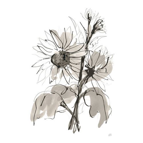 Paschke, Chris 아티스트의 Ink Sunflower I작품입니다.