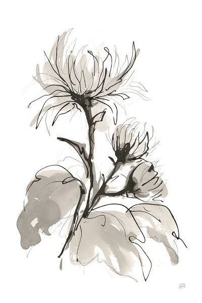Paschke, Chris 작가의 Chrysanthemum I 작품