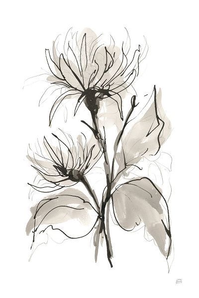 Paschke, Chris 작가의 Chrysanthemum II 작품