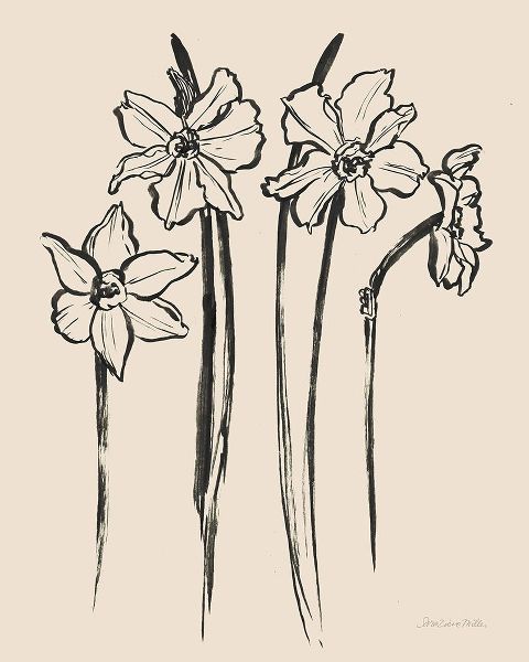 Miller, Sara Zieve 작가의 Ink Sketch Daffodils 작품
