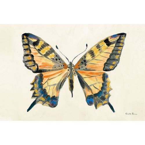 Zaman, Farida 작가의 Butterfly Study II 작품