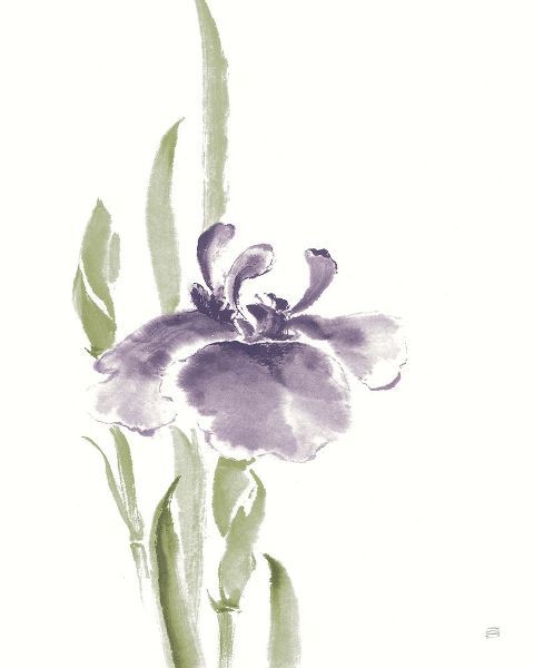Paschke, Chris 아티스트의 Japanese Iris II Purple Crop작품입니다.