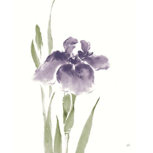 Paschke, Chris 아티스트의 Japanese Iris III Purple Crop작품입니다.