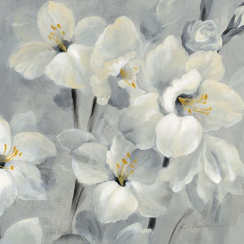 Vassileva, Silvia 아티스트의 Flowers on Gray II작품입니다.