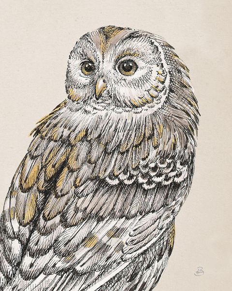 Brissonnet, Daphne 작가의 Beautiful Owls III Vintage 작품