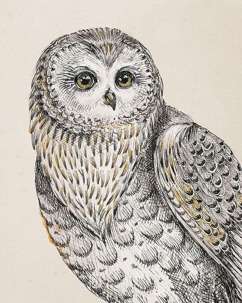 Brissonnet, Daphne 작가의 Beautiful Owls IV Vintage 작품