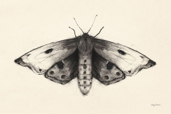 Tillmon, Avery 아티스트의 Moth I작품입니다.
