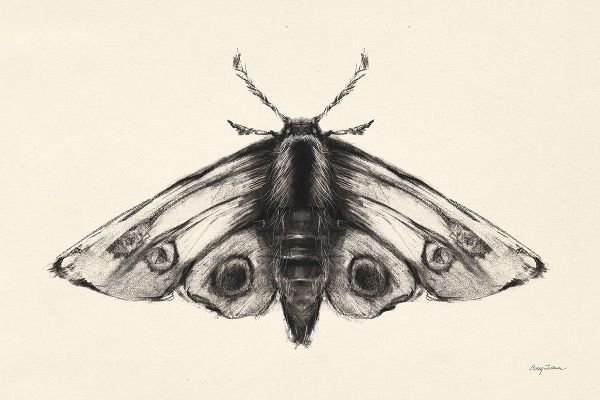 Tillmon, Avery 아티스트의 Moth II작품입니다.