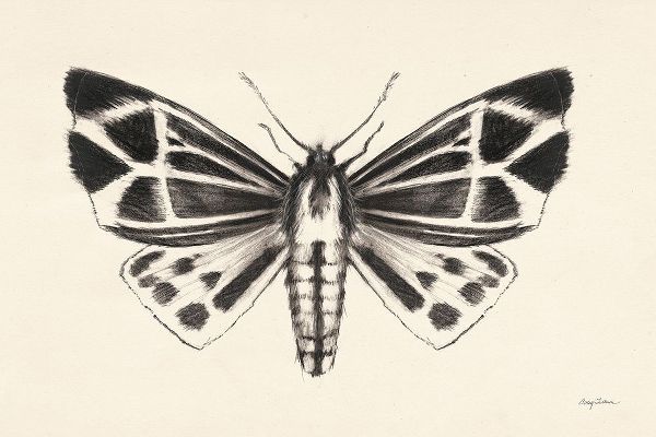Tillmon, Avery 아티스트의 Moth III작품입니다.