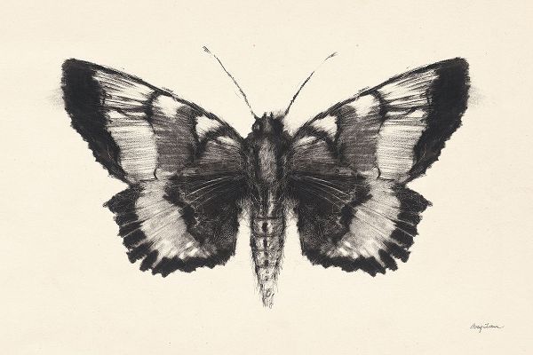 Tillmon, Avery 아티스트의 Moth V작품입니다.