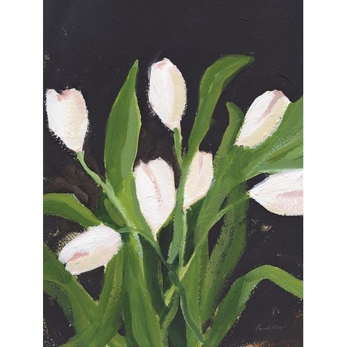 Munger, Pamela 아티스트의 White Tulips on Black (1)작품입니다.