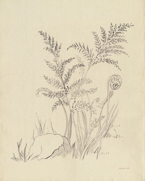 Nai, Danhui 아티스트의 Vintage Nature Sketchbook VI작품입니다.