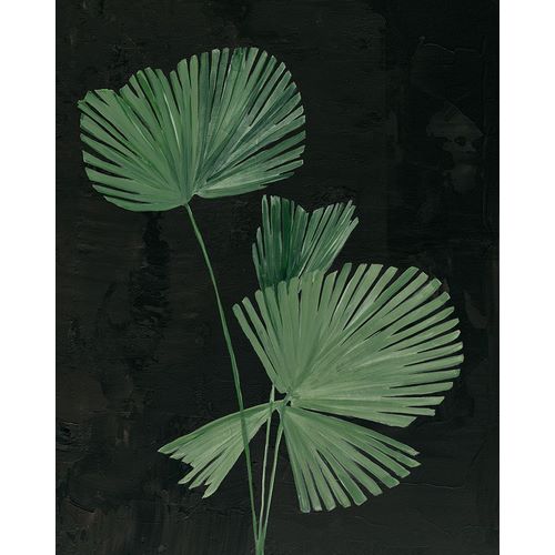Purinton, Julia 아티스트의 Palm Botanical III Black작품입니다.