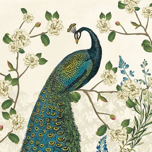 Schlabach, Sue 작가의 Peacock Arbor I Ivory v2 작품