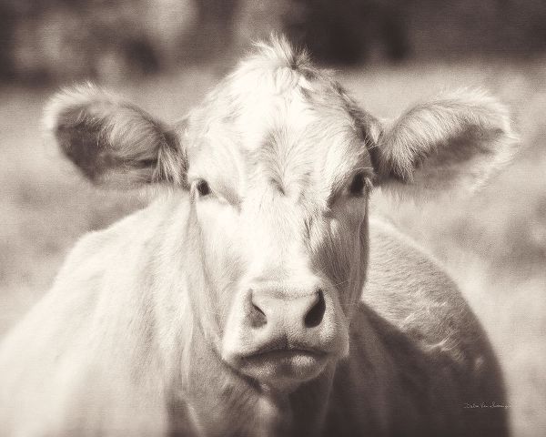 Van Swearingen, Debra 아티스트의 Pasture Cow Neutral작품입니다.