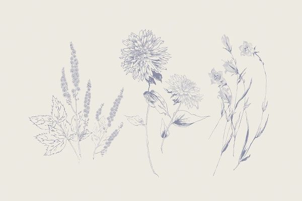Wild Apple Portfolio 아티스트의 Flowers on White VIII Blue작품입니다.