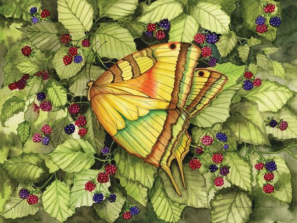 McKenna, Kathleen Parr 아티스트의 Bountiful Butterfly작품입니다.