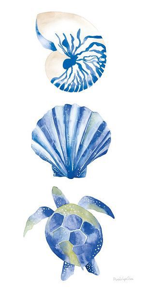 Charro, Mercedes Lopez 아티스트의 Salty Waves Shells작품입니다.