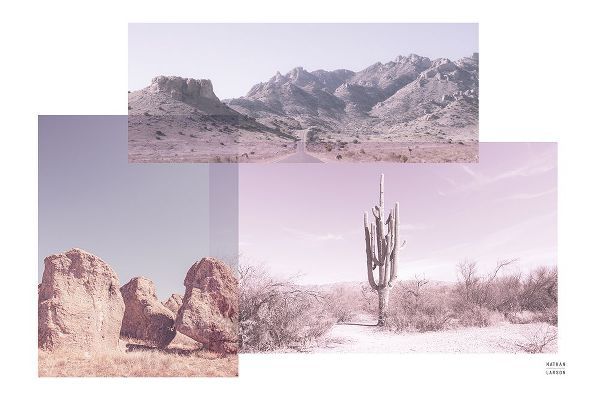 Larson, Nathan 아티스트의 Desert Collage v2작품입니다.