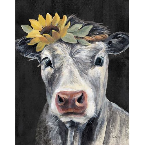 Vassileva, Silvia 아티스트의 Pretty Cow on Black작품입니다.