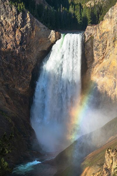Majchrowicz, Alan 아티스트의 Rainbow Lower Falls작품입니다.