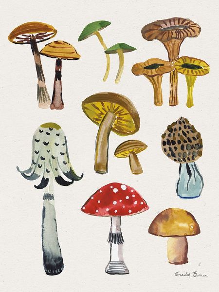 Forest Mushrooms II Crop