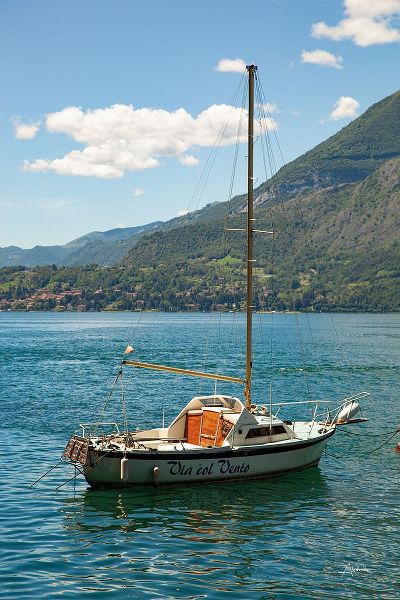 Aledanda 아티스트의 Lake Como Boats II작품입니다.