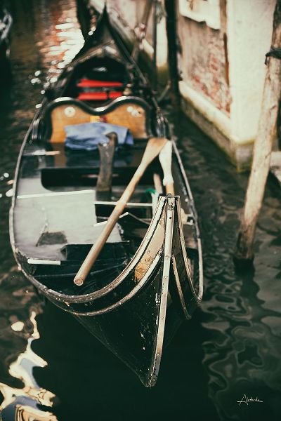 Aledanda 아티스트의 Gondola Detail작품입니다.