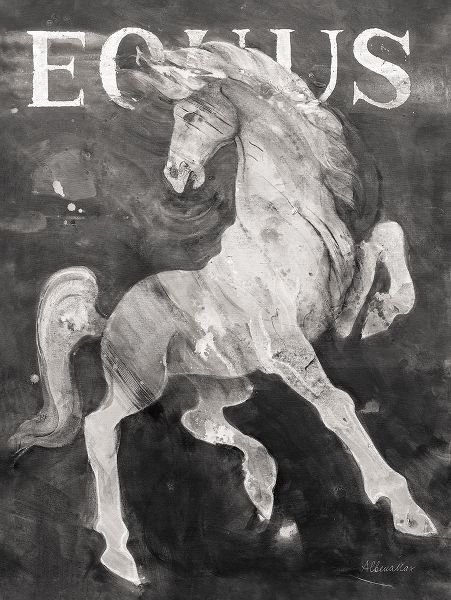 Hristova, Albena 아티스트의 Equus Stallion BW작품입니다.