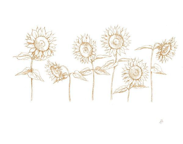Brissonnet, Daphne 아티스트의 Sunshine Seeds III작품입니다.