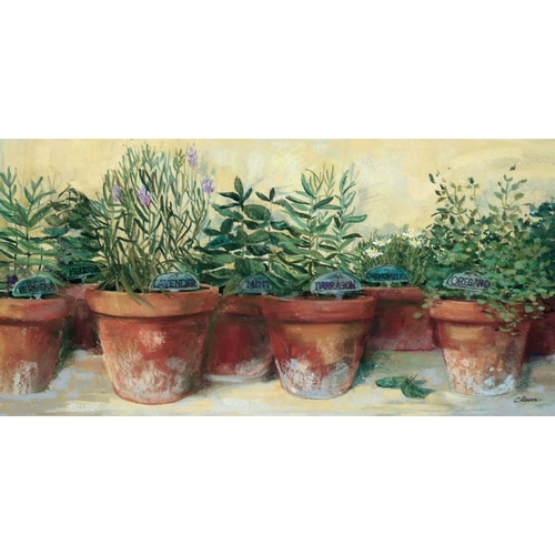 Potted Herbs I