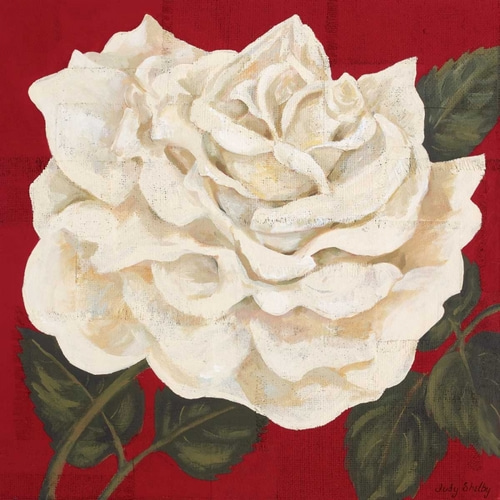 Rosa Blanca Grande I