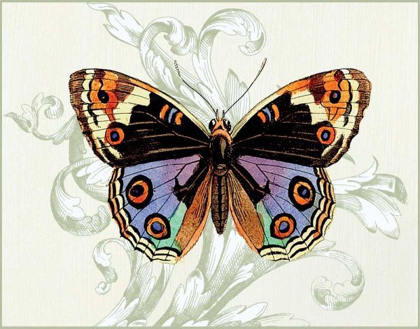 Butterfly Theme I