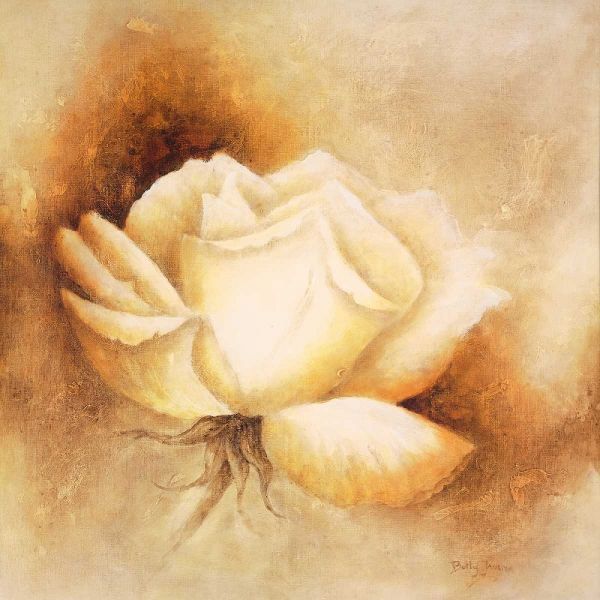 White rose I