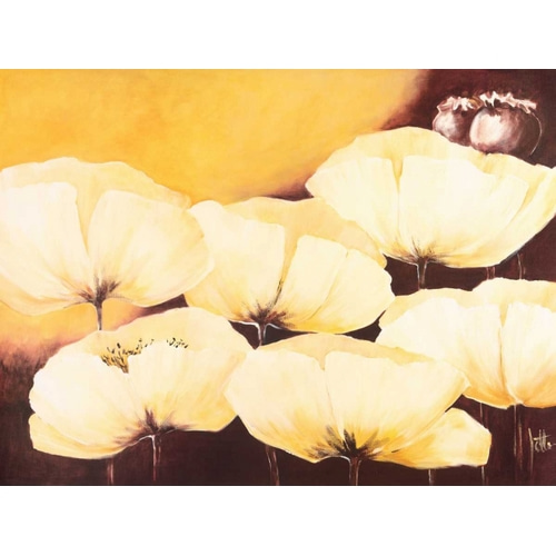 Yellow Poppies II